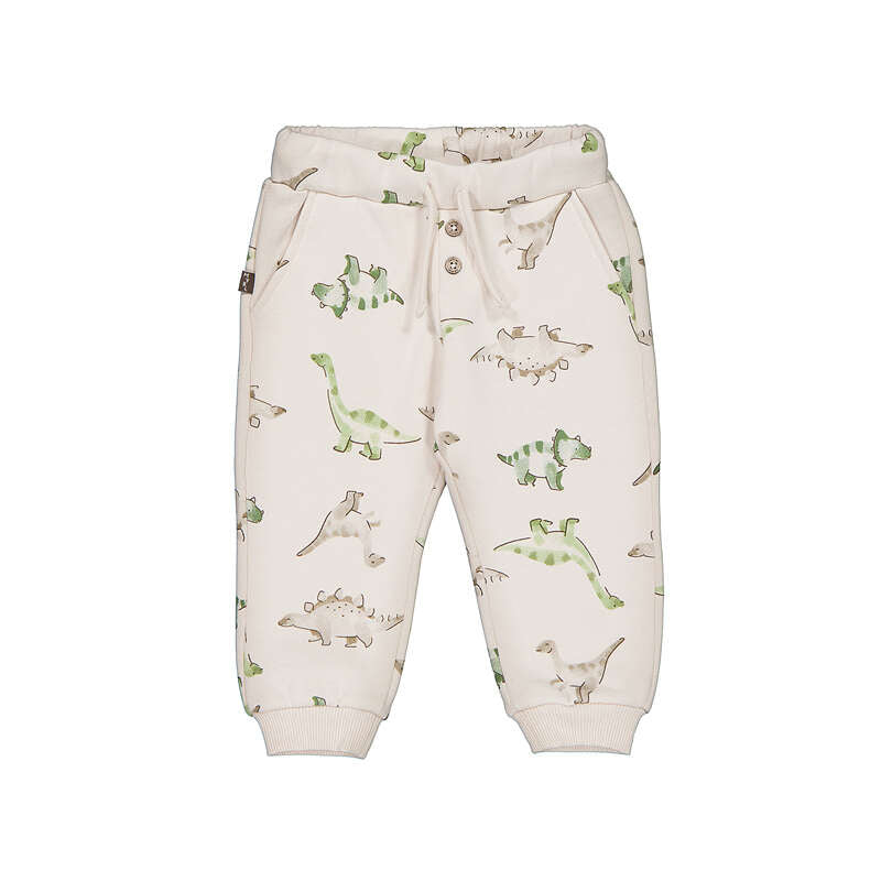 Baby Boy Dino Patterned Pants