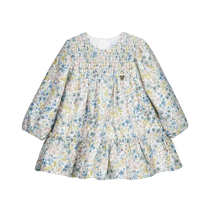 Anise Printed Velvet Dress