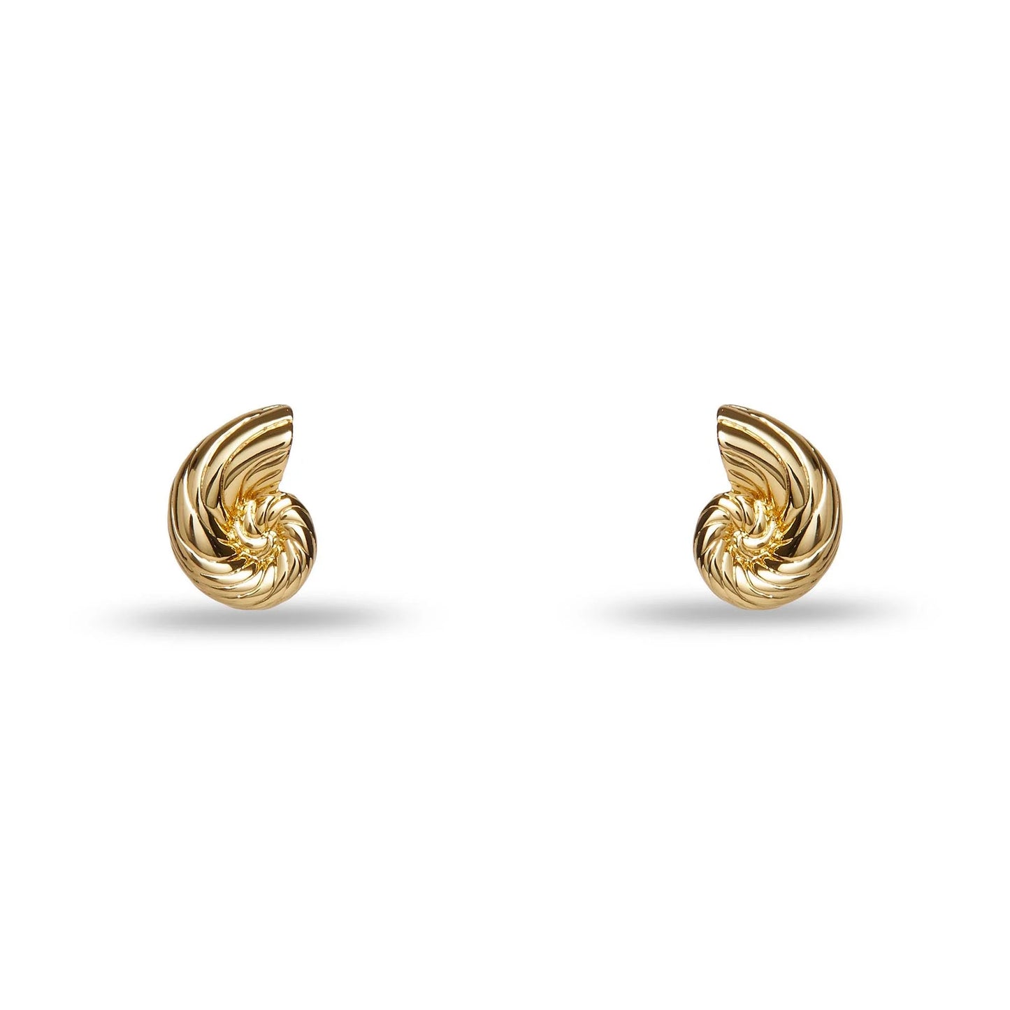 Gold Nautilus Shell Stud Earrings