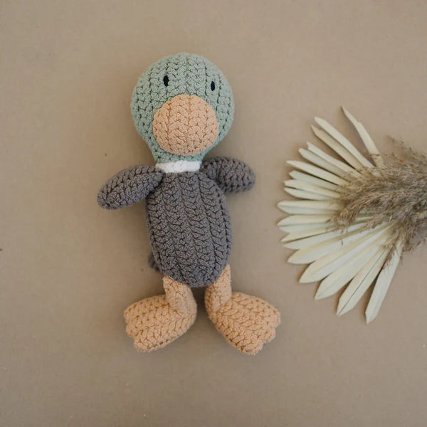 Lovie- Hunter The Mallard