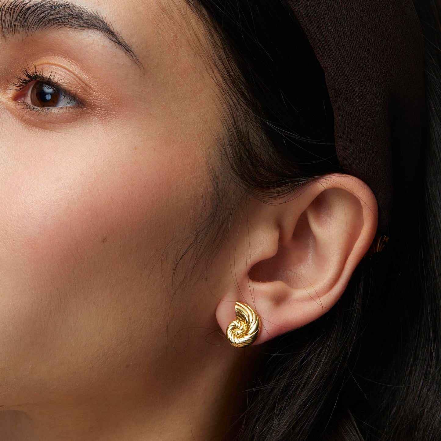 Gold Nautilus Shell Stud Earrings