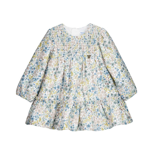 Anise Printed Velvet Dress