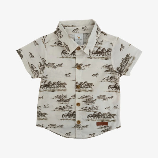 Nash Button Down- Tennessee Stud