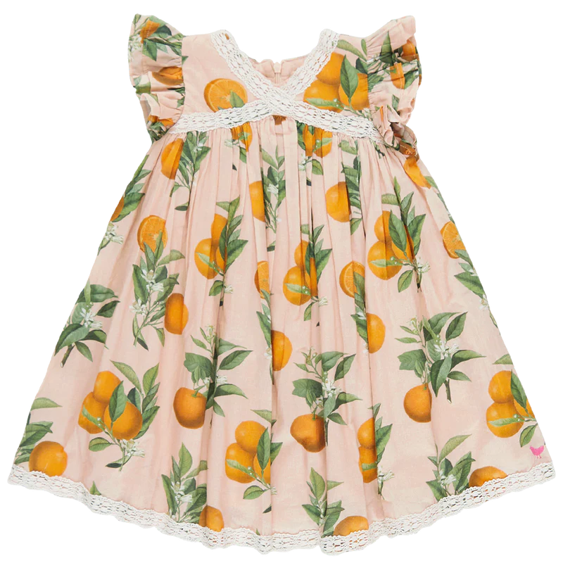 Girls Katherine Dress- Pink Botanical Oranges