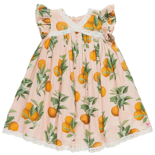 Girls Katherine Dress- Pink Botanical Oranges