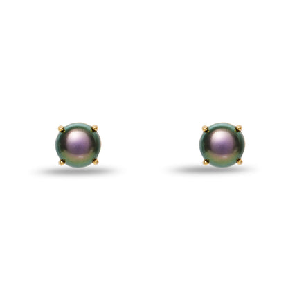 Tahitian Ashford Pearl Stud Earrings