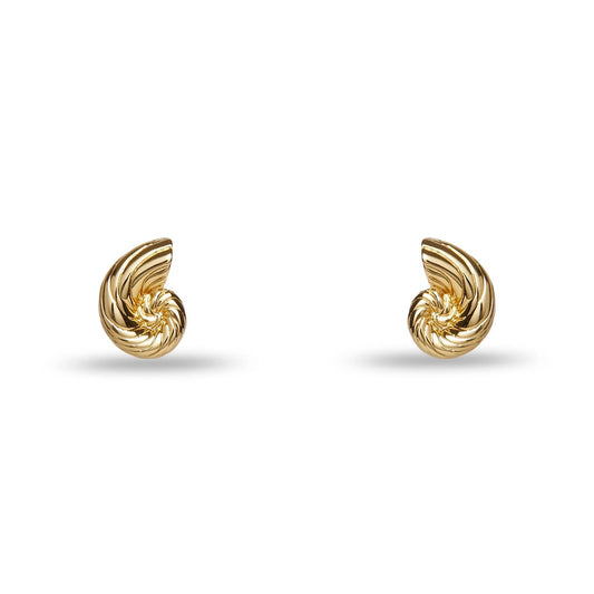 Gold Nautilus Shell Stud Earrings