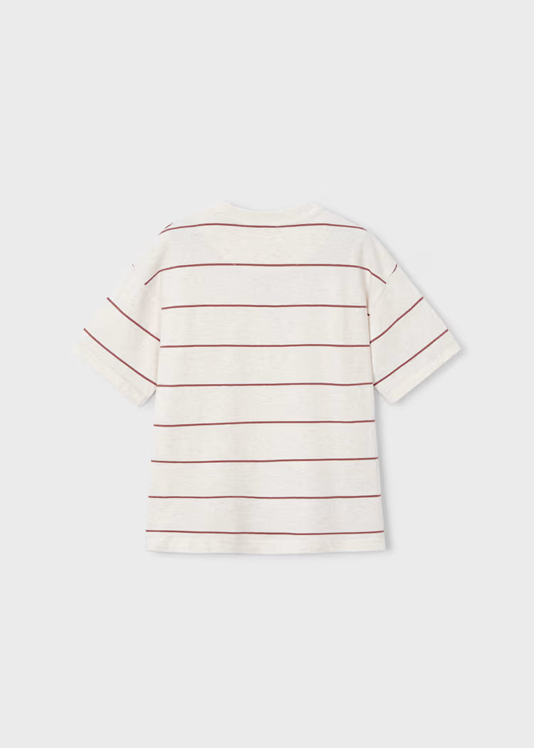 Boys Striped T-Shirt- Rust