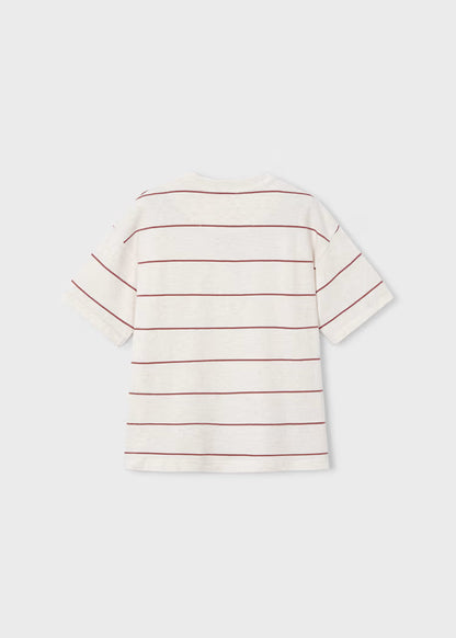 Boys Striped T-Shirt- Rust