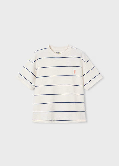 Boys Striped T-Shirt- Blue