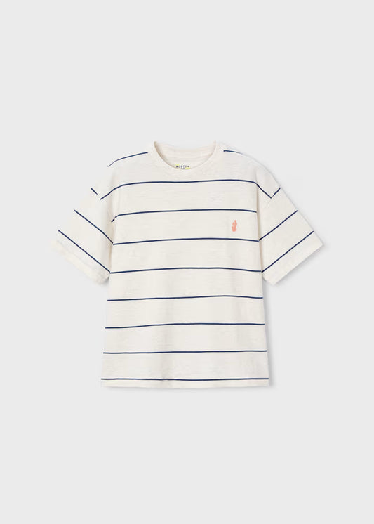 Boys Striped T-Shirt- Blue