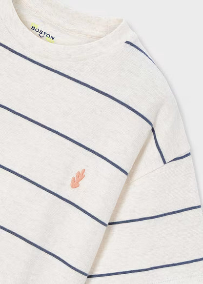 Boys Striped T-Shirt- Blue