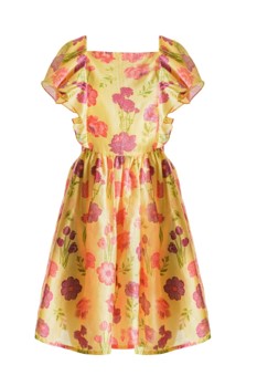 Floralia Ruffled Mini Dress
