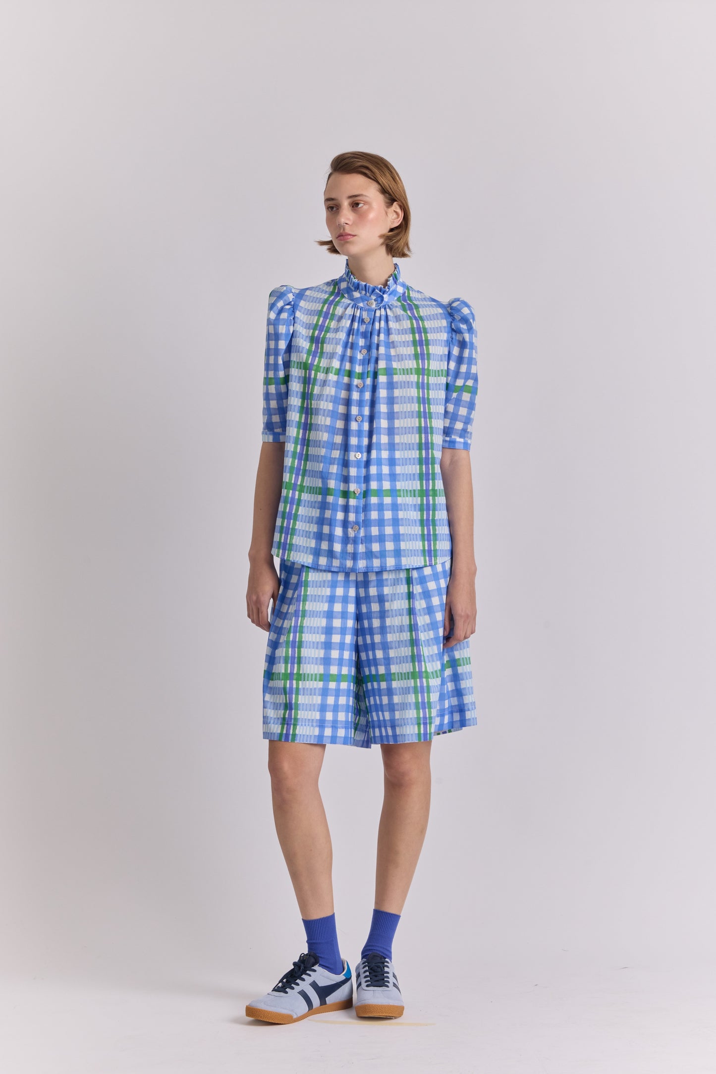 Tapir Blouse- Trama