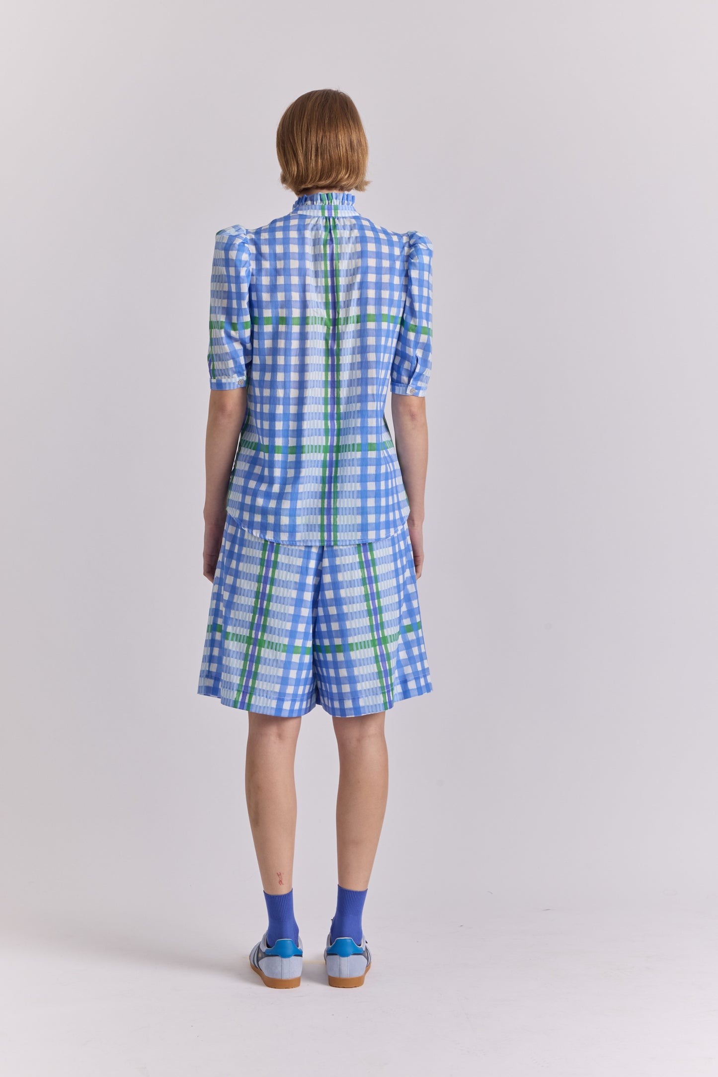 Tapir Blouse- Trama