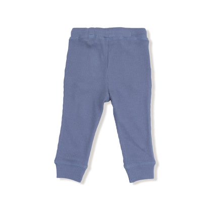 Wild Wind Jogger Pant