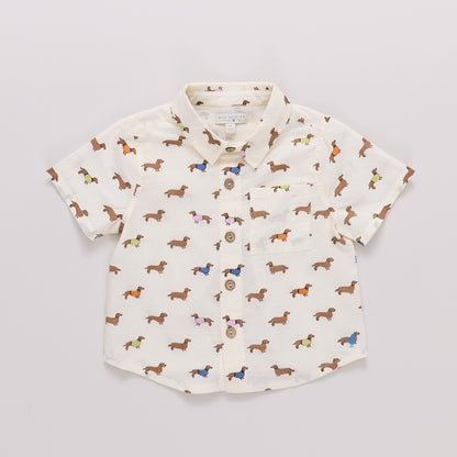 Baby Boys Jack Shirt- Dachshunds in Sweaters
