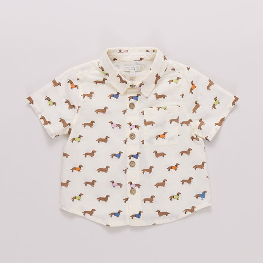 Baby Boys Jack Shirt- Dachshunds in Sweaters